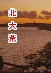 2019国产在线